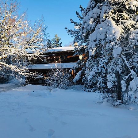 Kibuvitsa Holiday House Muratsi Esterno foto